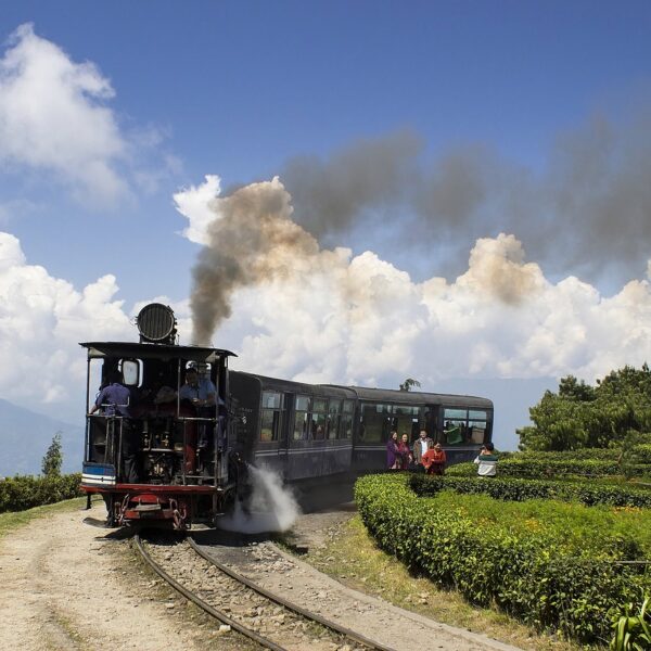 darjeeling, himalayan, railway, toy, train, steam, vehicle, wagons, toy train, transportation, rails, trains, rail, smoke, india, travel, historic, darjeeling, darjeeling, darjeeling, darjeeling, darjeeling
