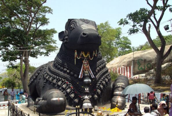 nandi, bull, mysore, karnataka, sculpture, monument, statue, creative, artwork, design, metal work, creativity, metal, metallic, construction, art, nandi, nandi, nandi, nandi, mysore, mysore, mysore, mysore, mysore, karnataka